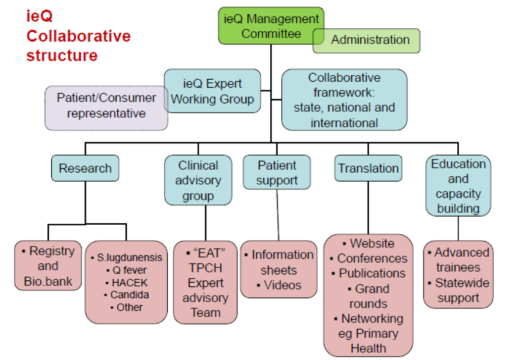 ieQ structure